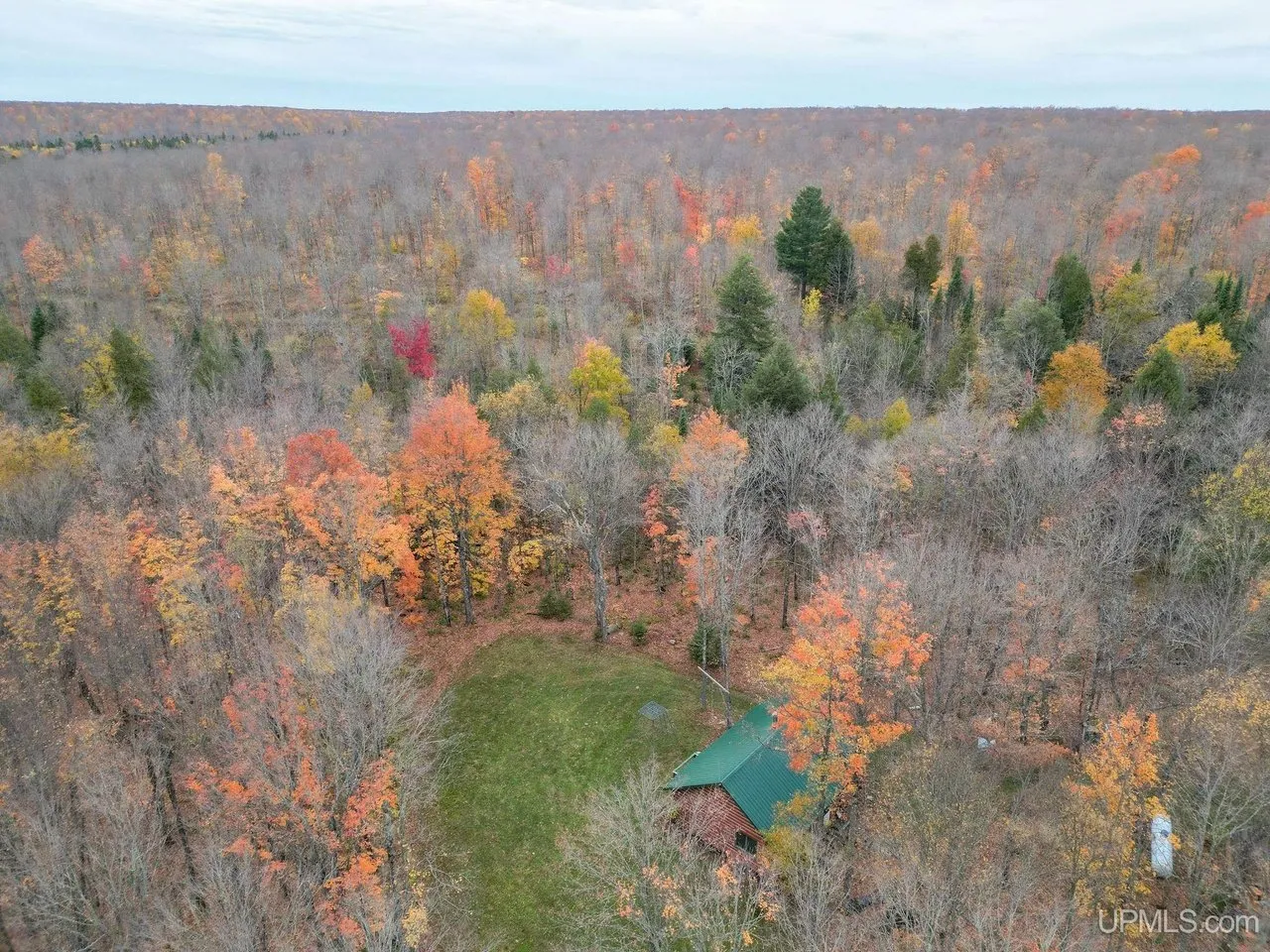 Aerial of the clearing from higher up, forest in autumn colour on every side
