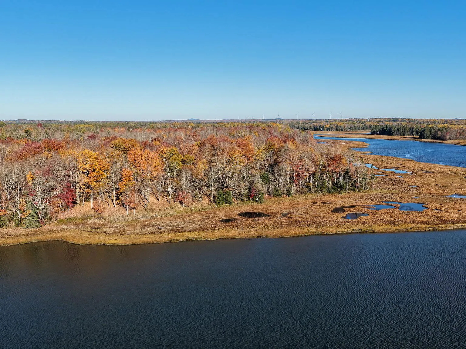 An aerial view of the wooded shoreline along the river, with the property visible among the trees
