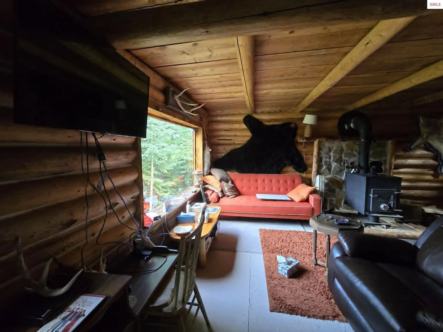 A second living room view with the orange sofa, TV and bear hide on the wall