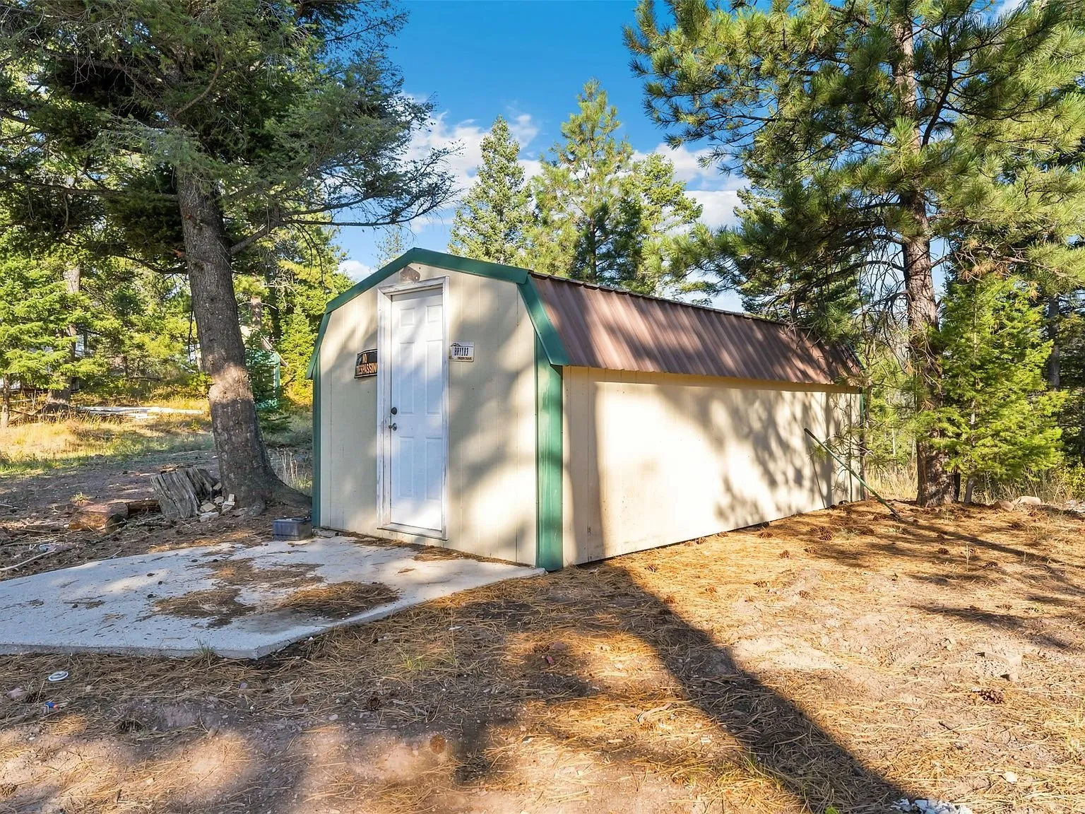 A wooded section of the property with the cabin visible in the distance