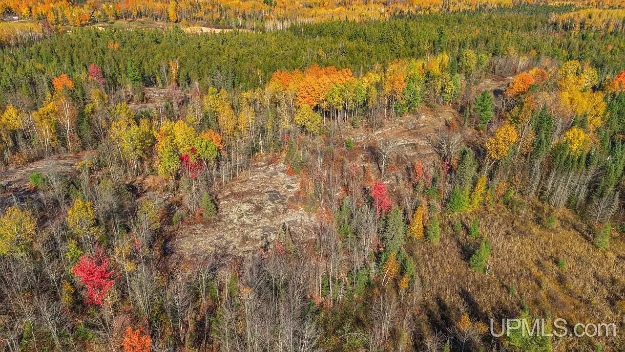 A picnic table set in a small clearing among the trees