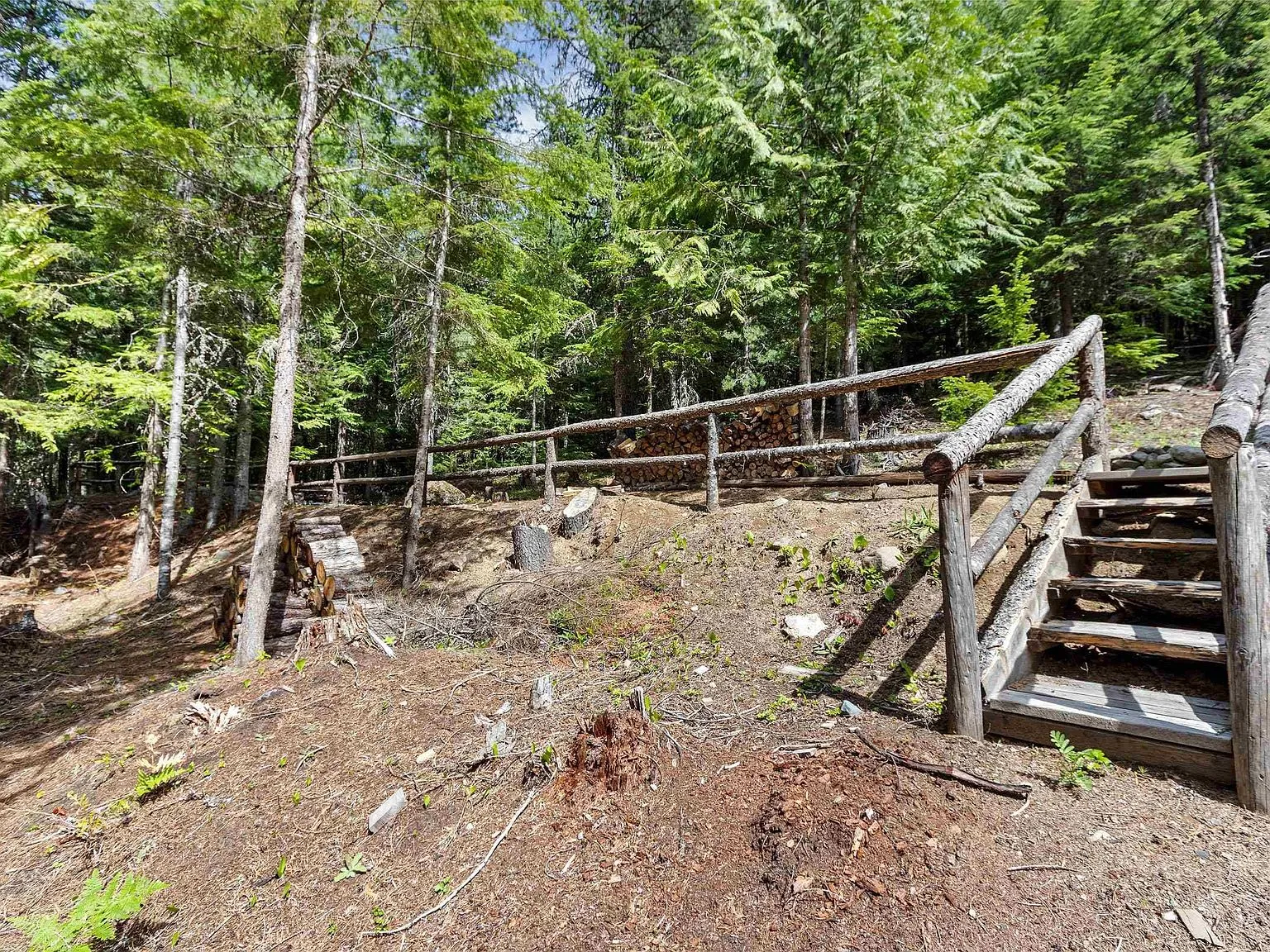A dirt path and log staircase leading up through the trees toward the cabin