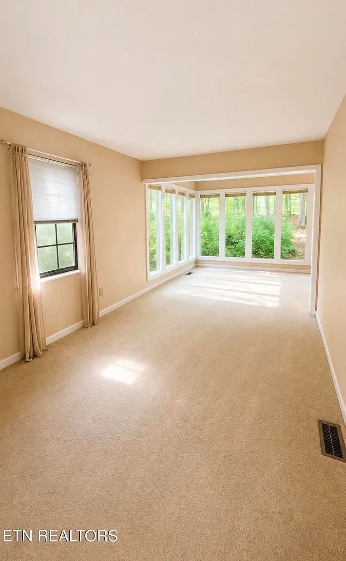 A carpeted room looking through to the sunroom windows