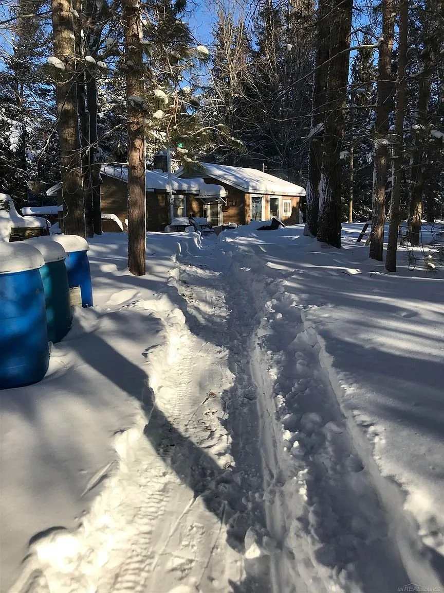 The path through the snow to the cabin