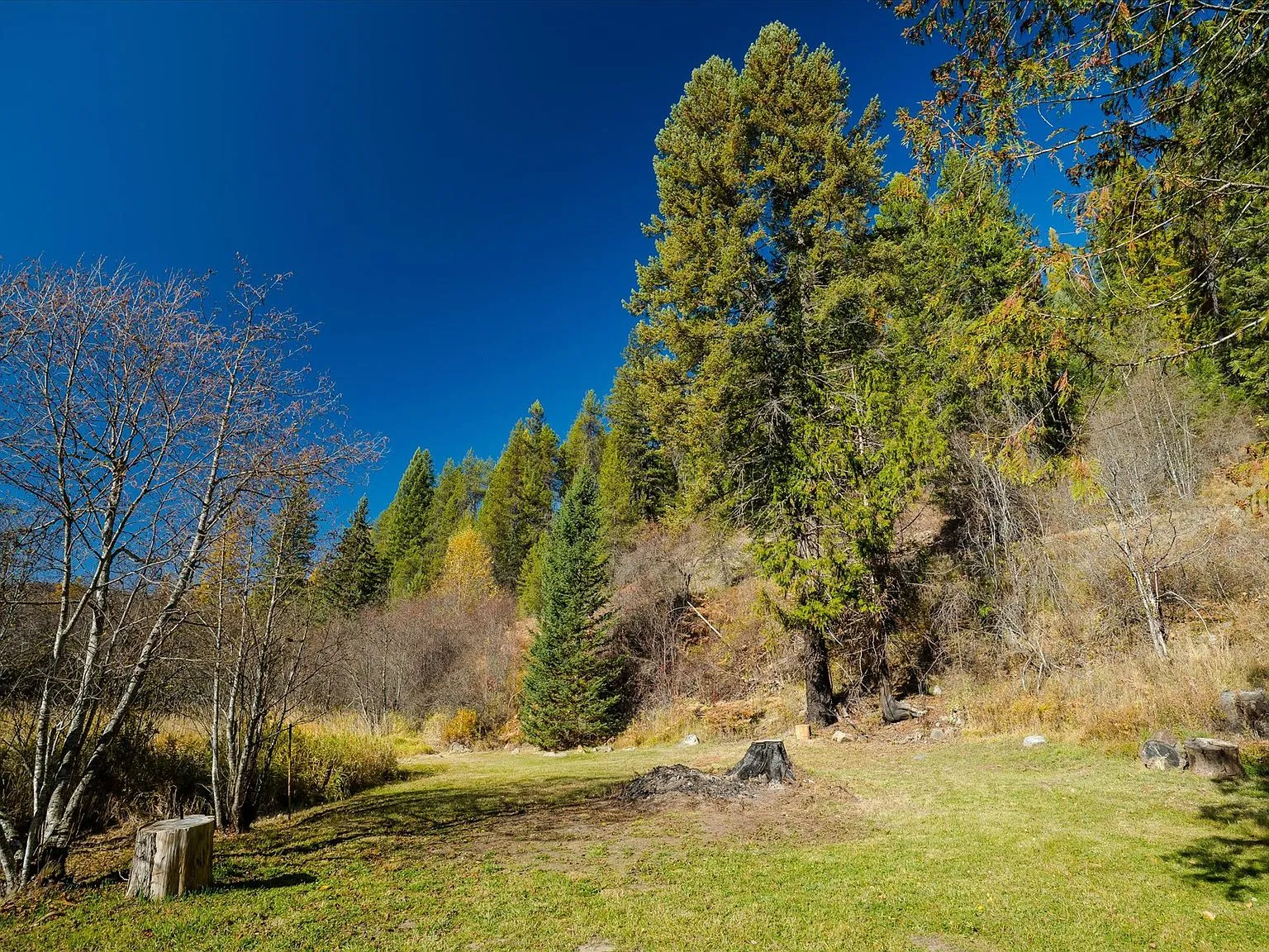 A natural spring pool on the property, fed by the surrounding hillside
