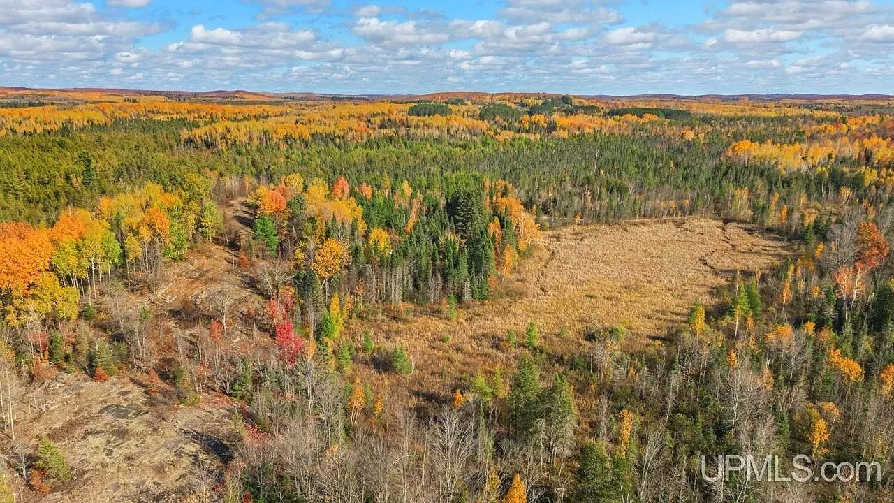An aerial view of mixed timber and a cleared opening on the property
