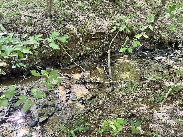 The stream bed among the rocks and brush