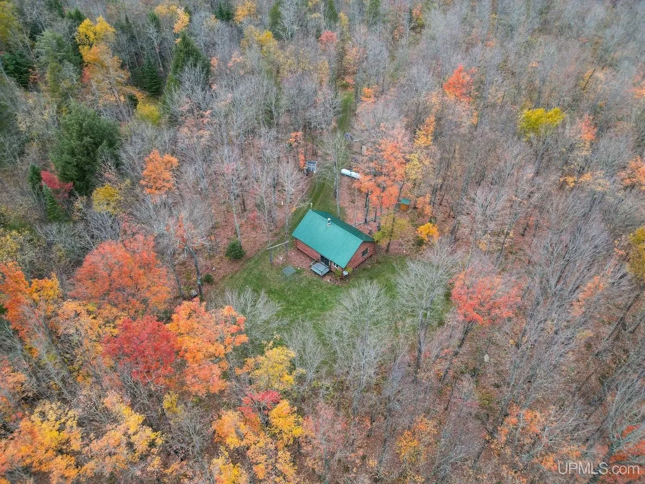 Aerial of the cabin's green roof in the small opening among the hardwoods