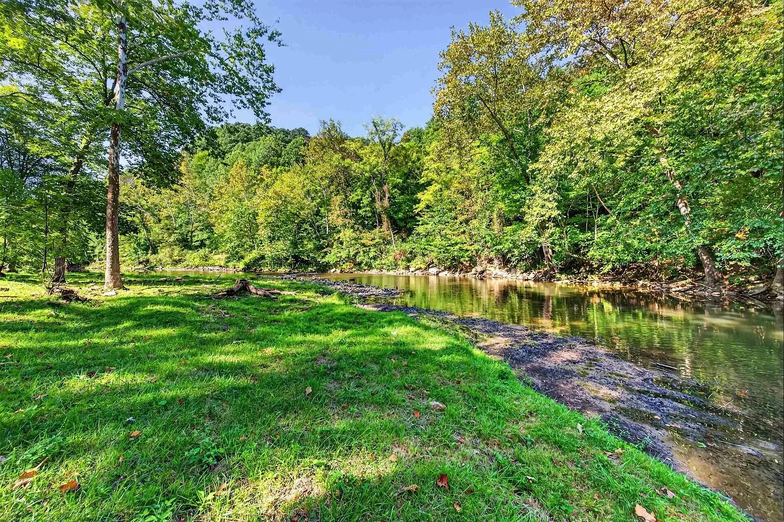 The creek flowing past the bank
