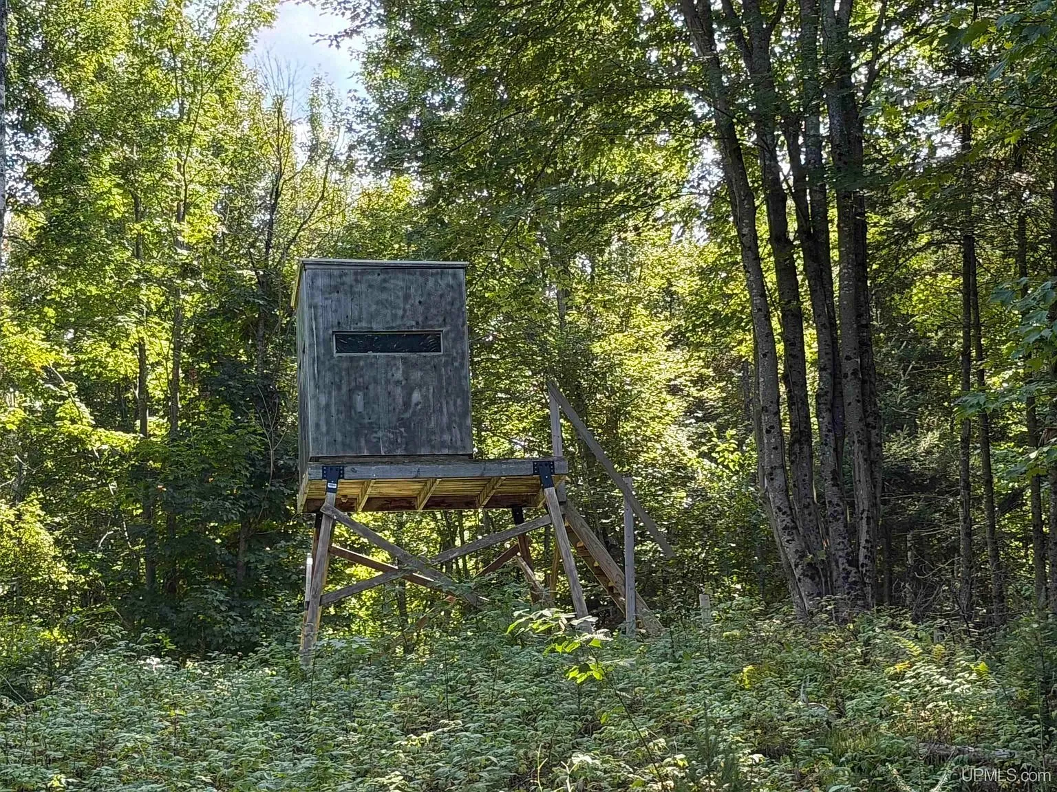 An elevated box blind on a wooden stand at the edge of the woods