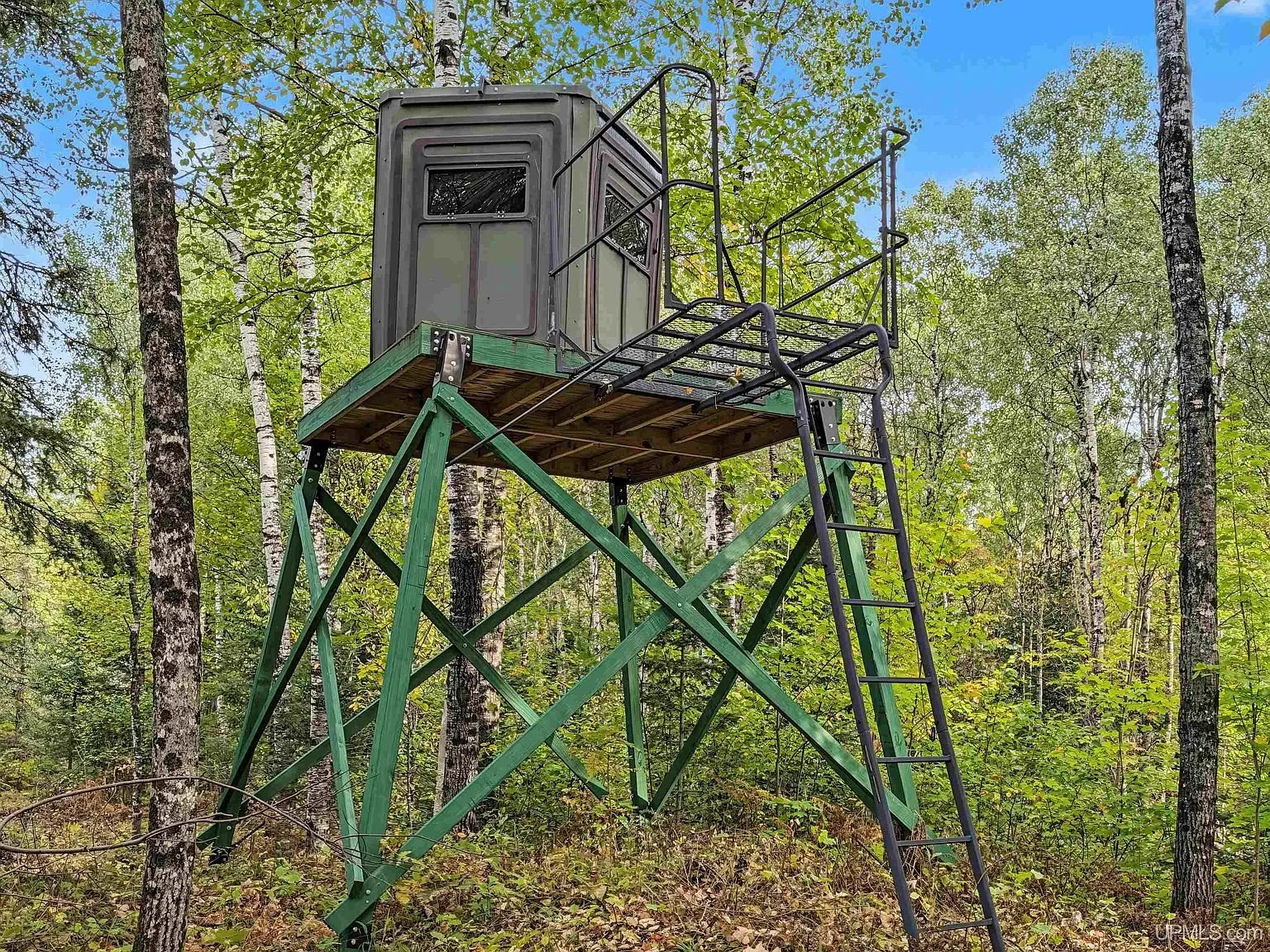 The outhouse standing in a cleared patch of the woods