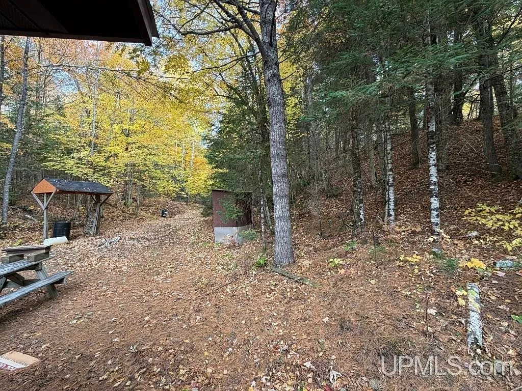 The wood-fired sauna building in the clearing near the cabin