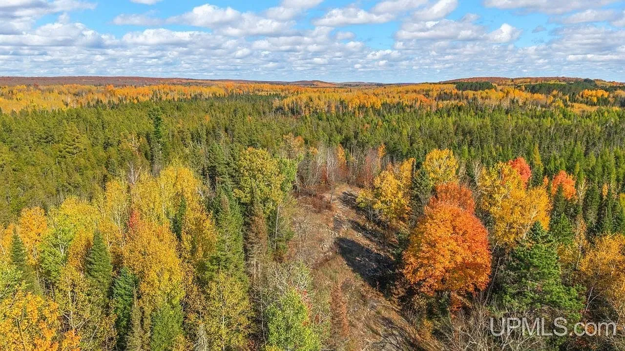 An aerial view of the cabin's clearing surrounded by autumn woods