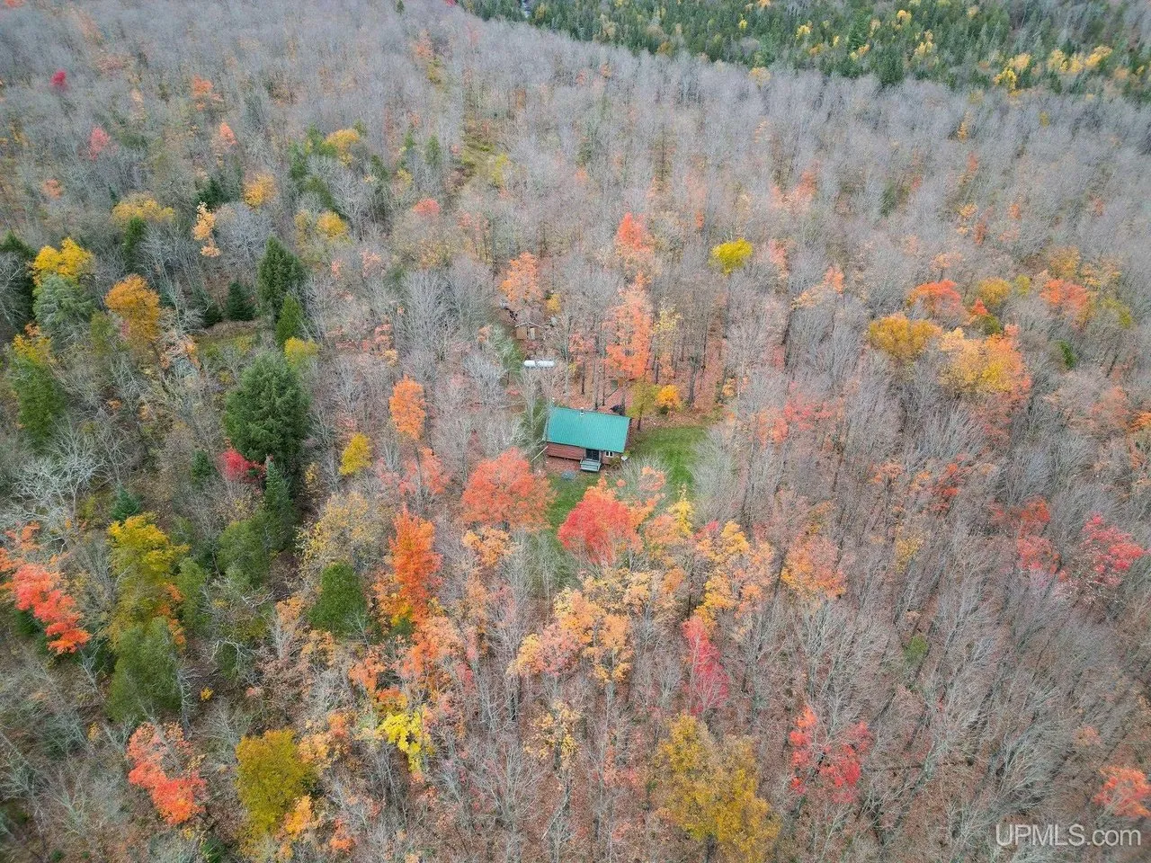 Aerial over the treetops with the clearing and cabin at the centre