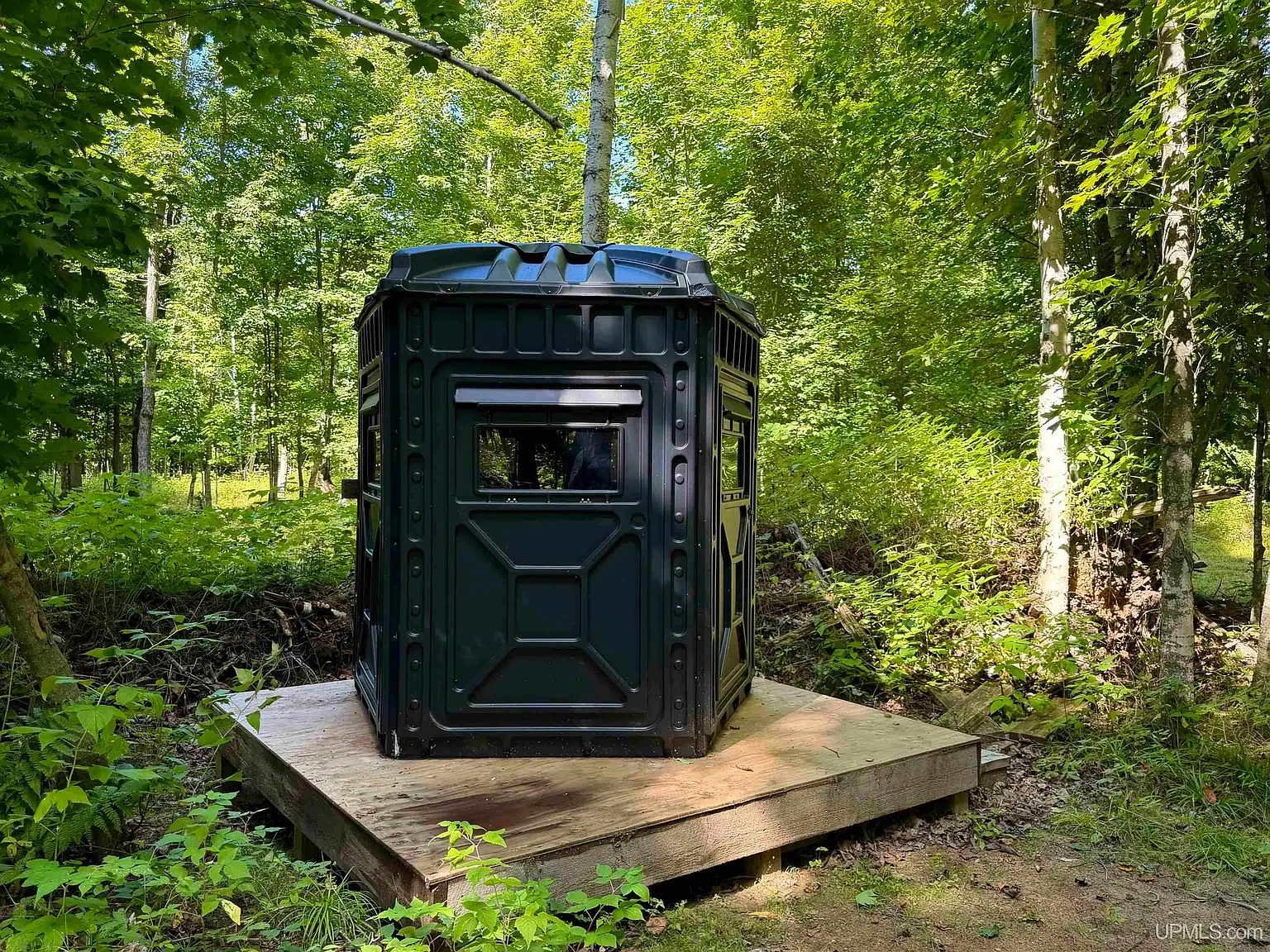 A black box blind on a wooden platform in the birches