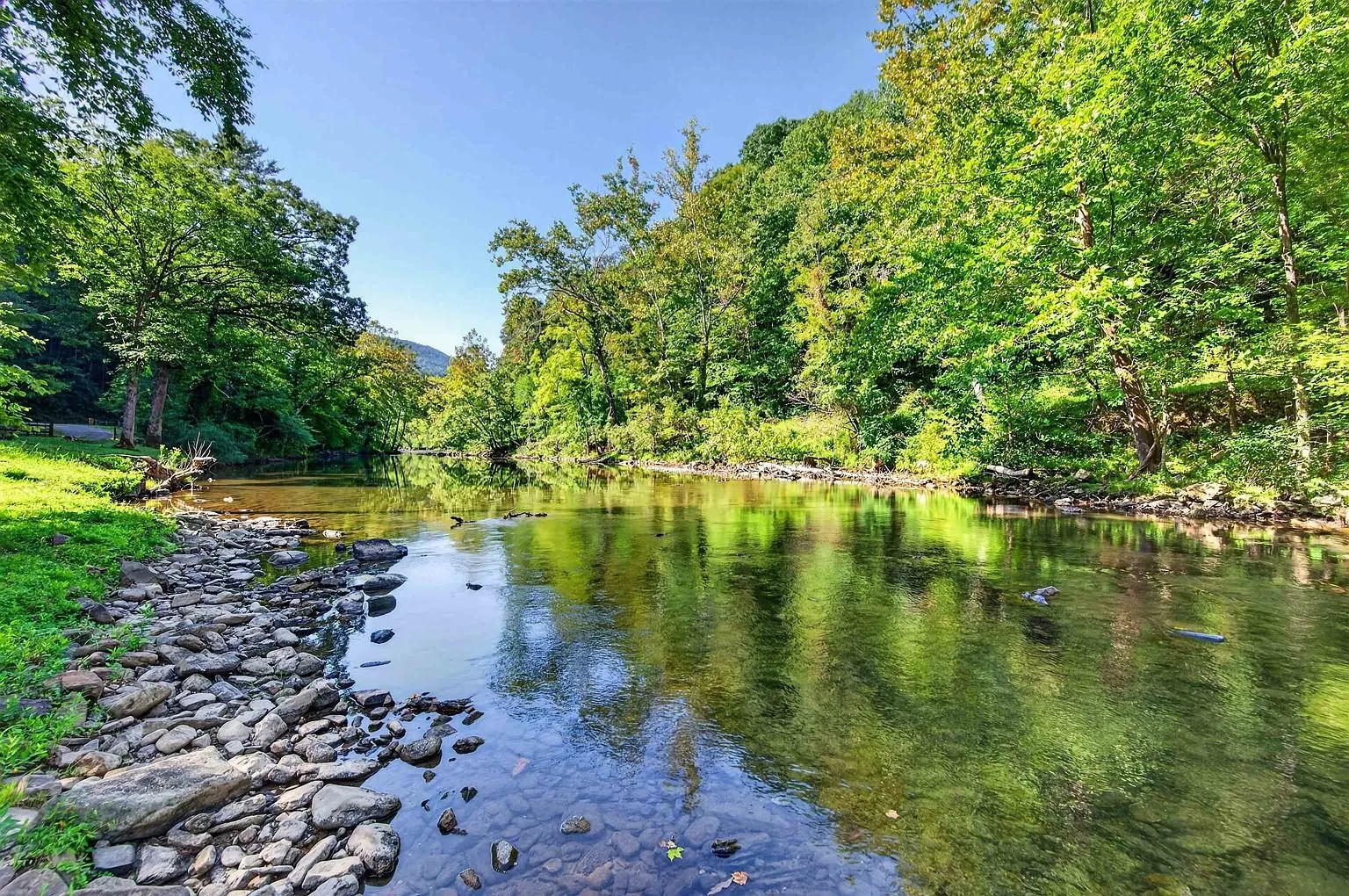 A wide pool in the creek