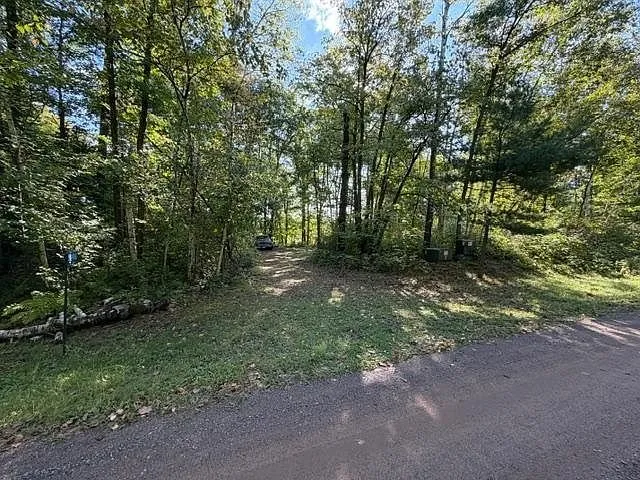 The driveway into the trees from the lane