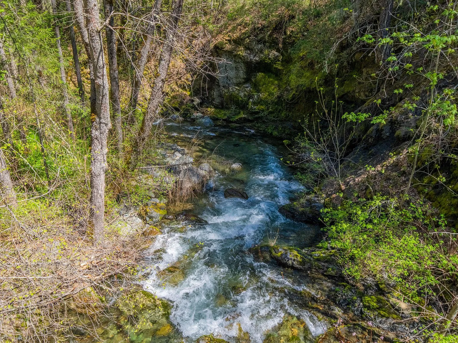 A small waterfall section of the creek running through the wooded property