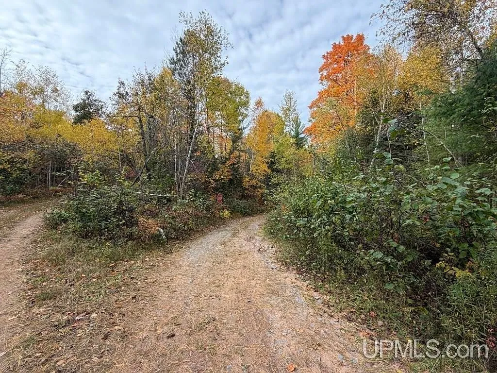 A trail marker and picnic table in a wooded clearing on the property