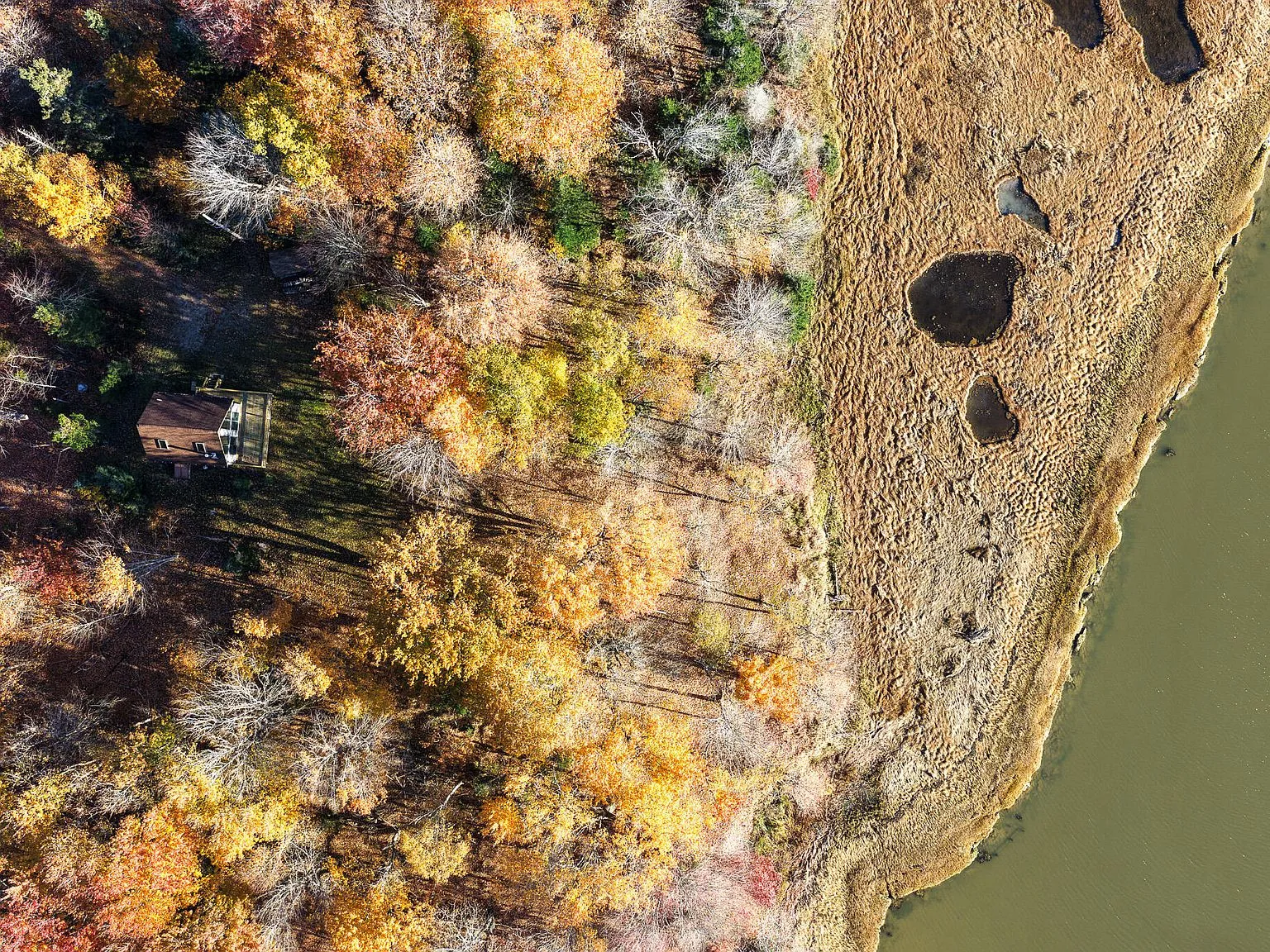 A closer aerial view of the fall canopy along the riverbank near the house
