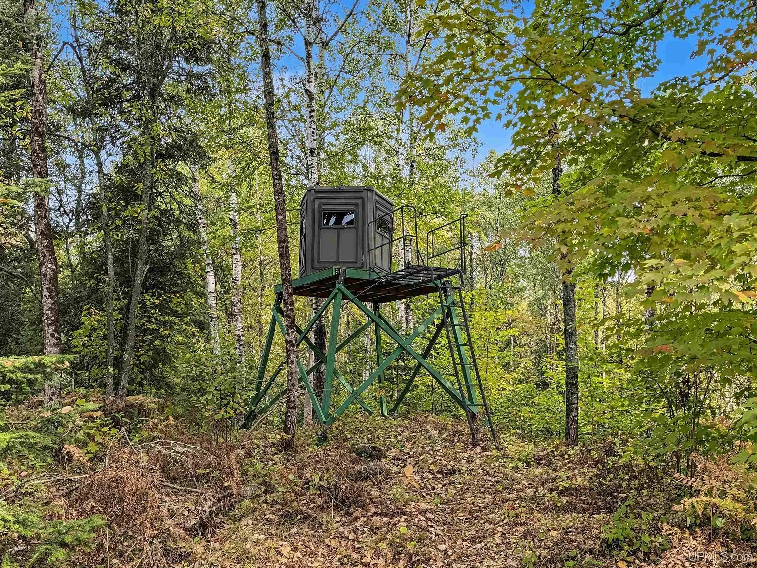A firewood rack built from poles in the clearing