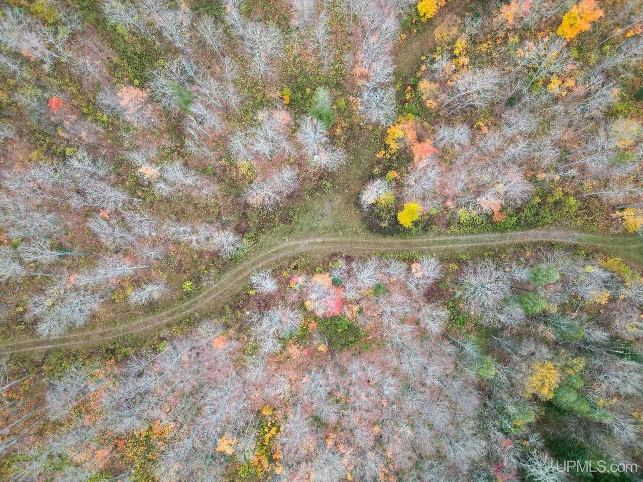Aerial straight down on the two-track cutting through the hardwoods