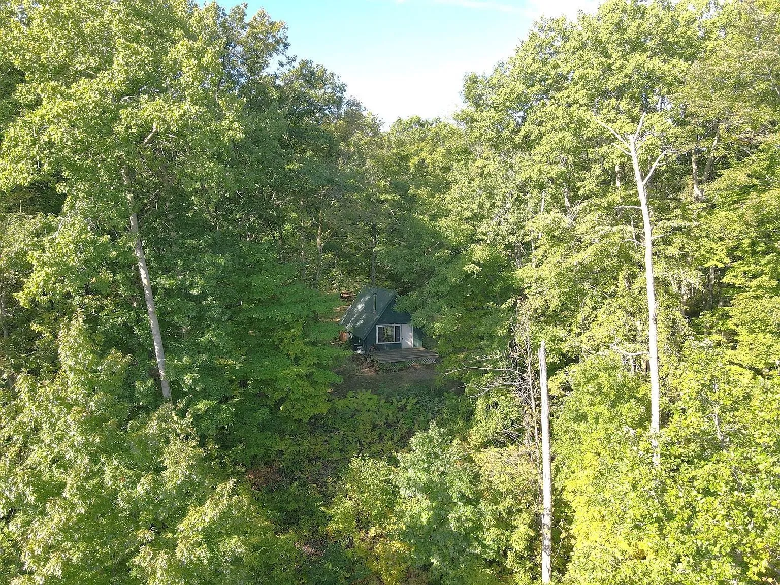 The A-frame through the trees from below