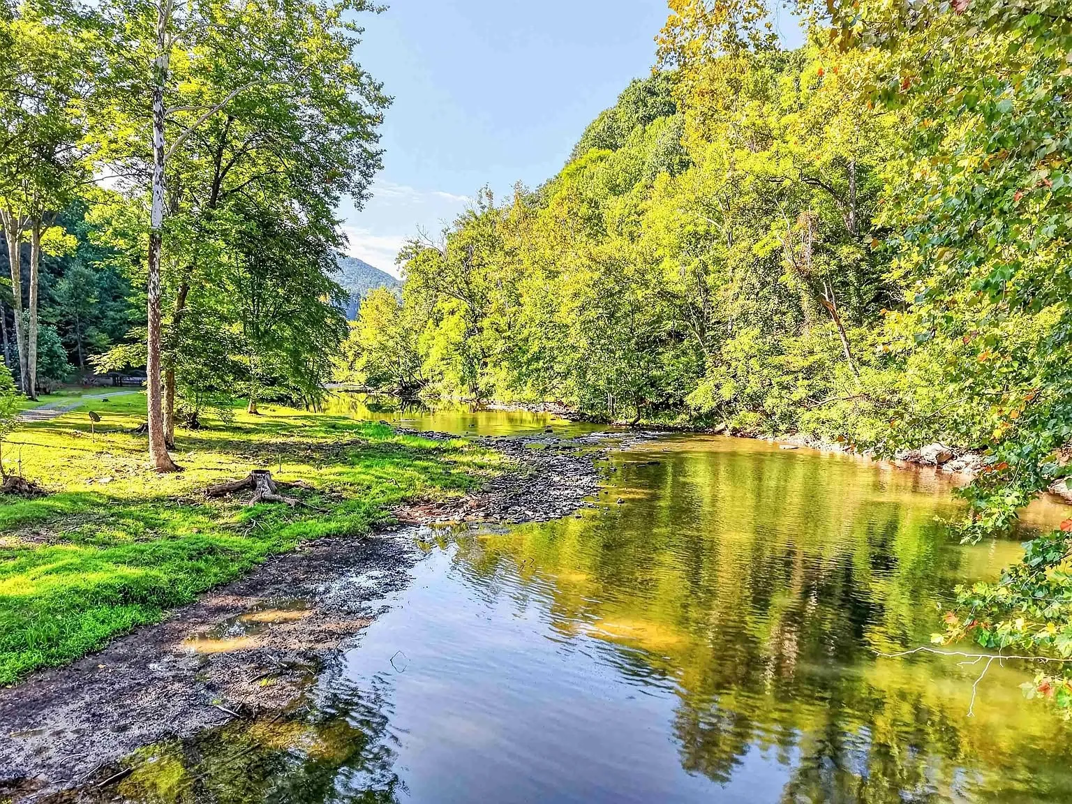 The creek bending past the gravel bar