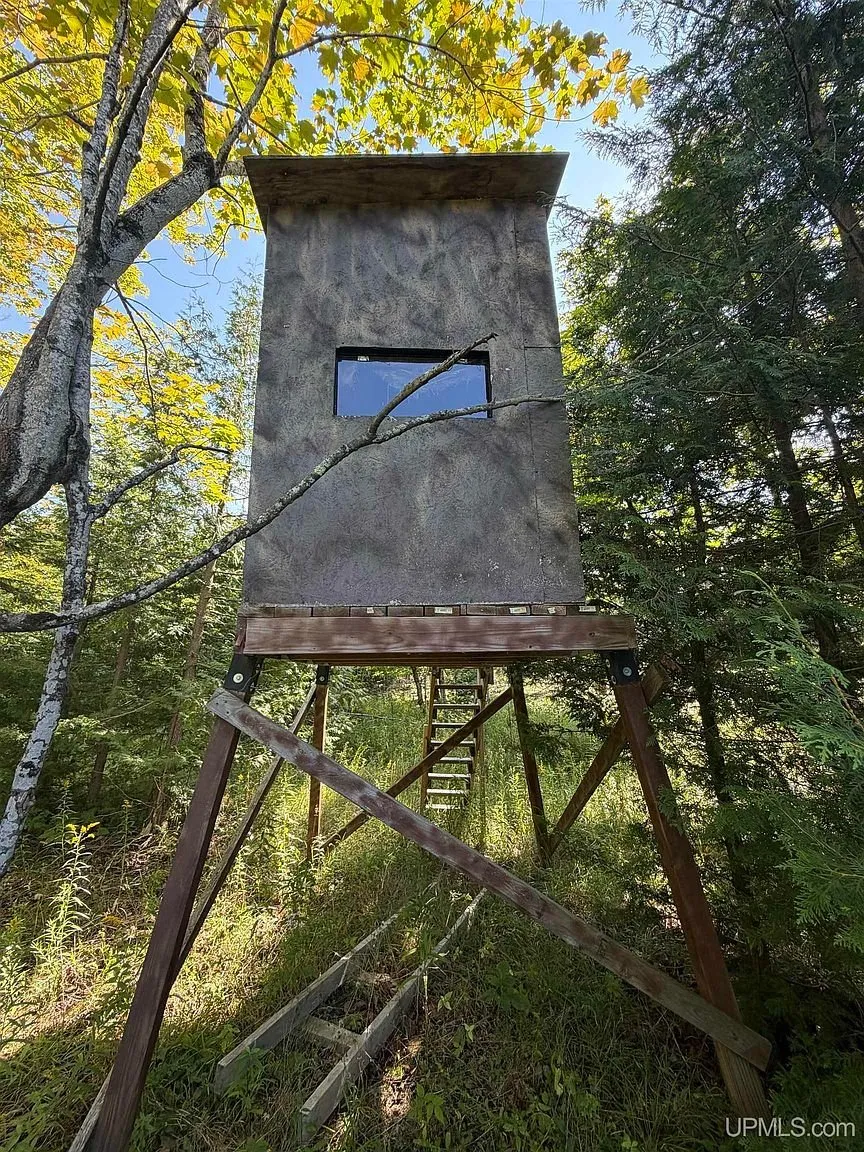 A tall blind on a stand with a ladder in the hardwoods