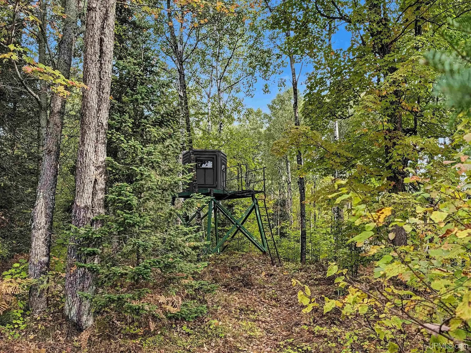 An elevated box blind on stilts at the edge of the timber