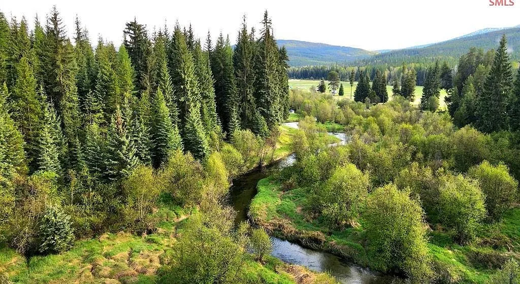 A quiet pool along the South Fork Yaak River, reflecting the surrounding grasses