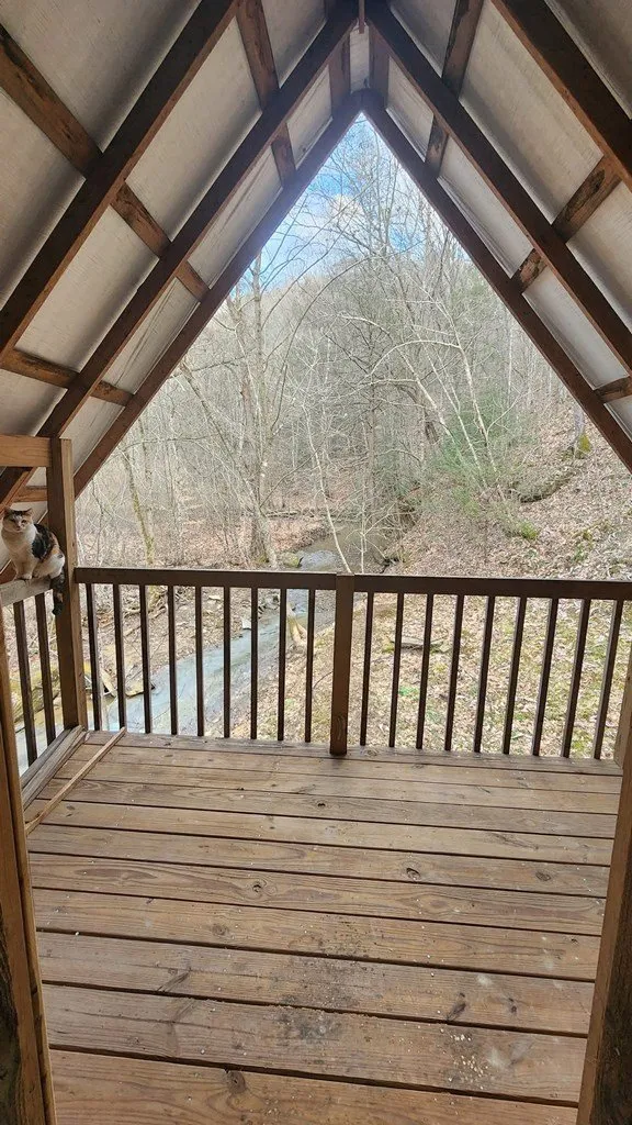 Looking out through the A-frame's peak window at the trees