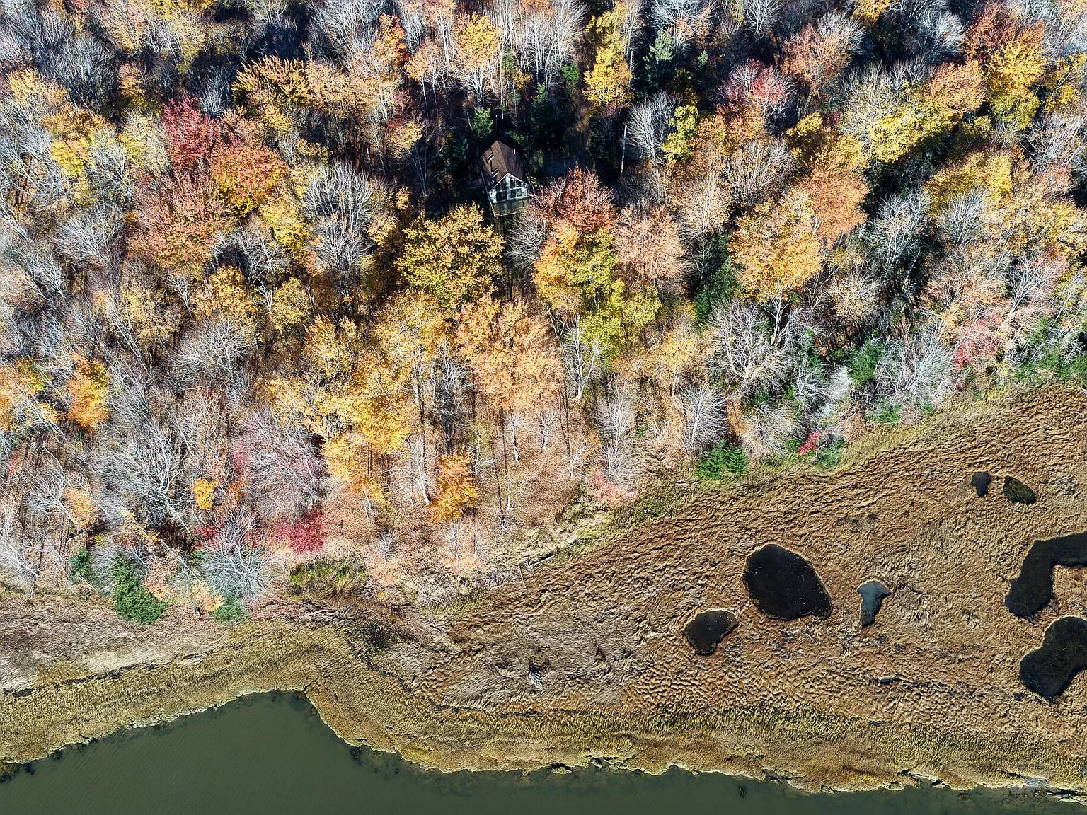 A wooded dirt trail cutting through the property's acreage, lined with fall leaves