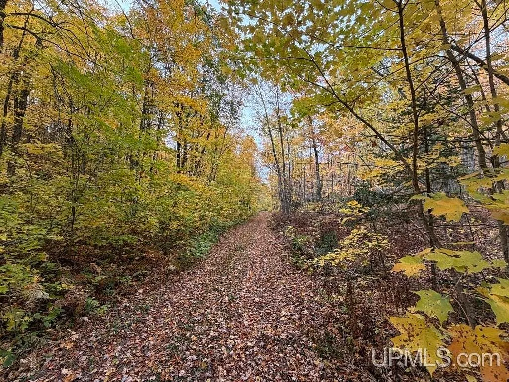 A groomed trail cutting through dense fall-colored woods