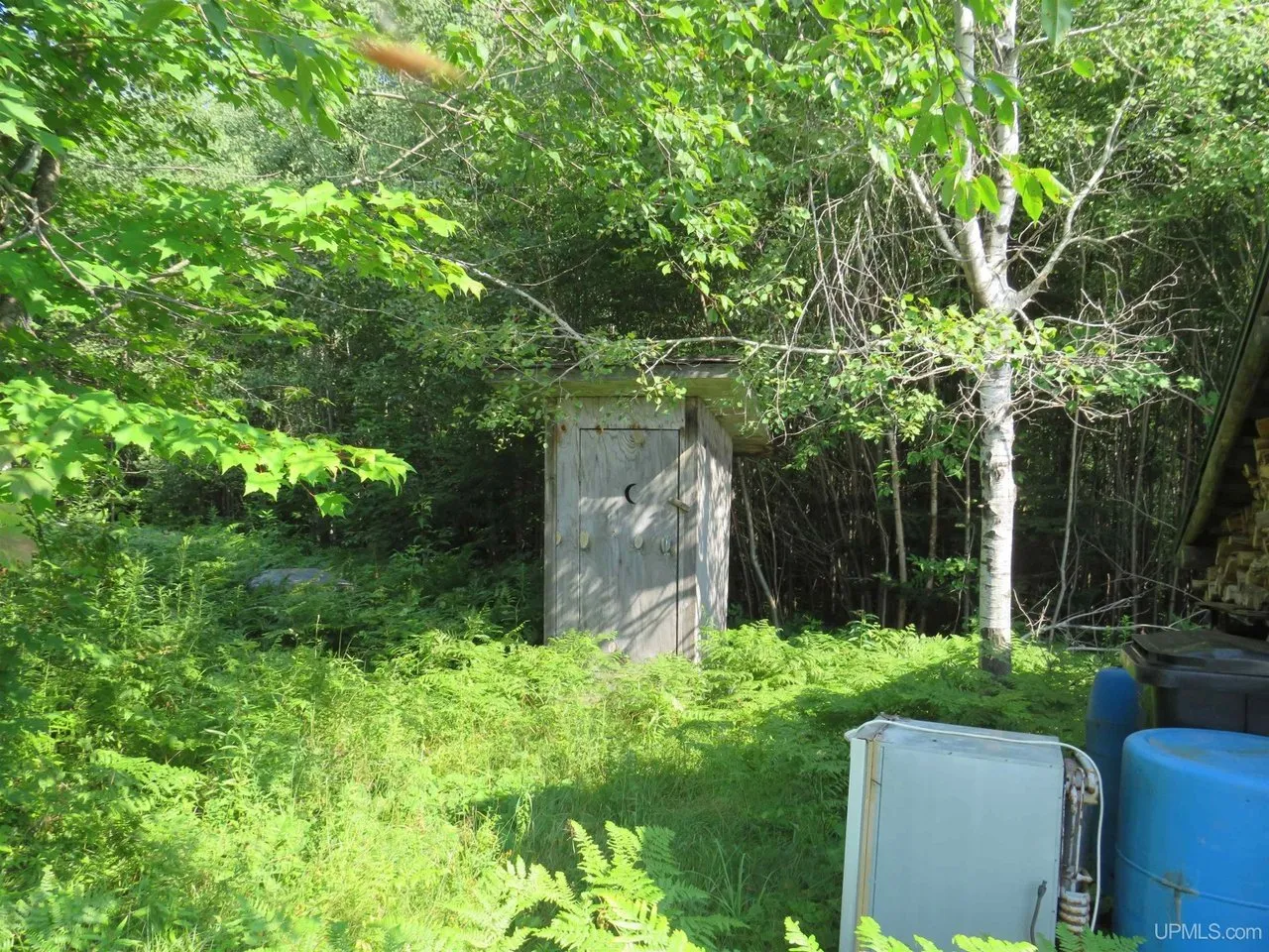 The outhouse in the brush behind the cabin