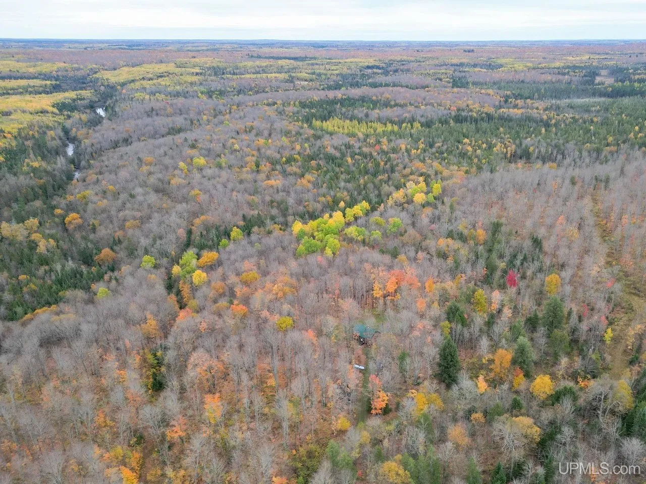 Aerial across the valley, the river corridor cutting through the forest below