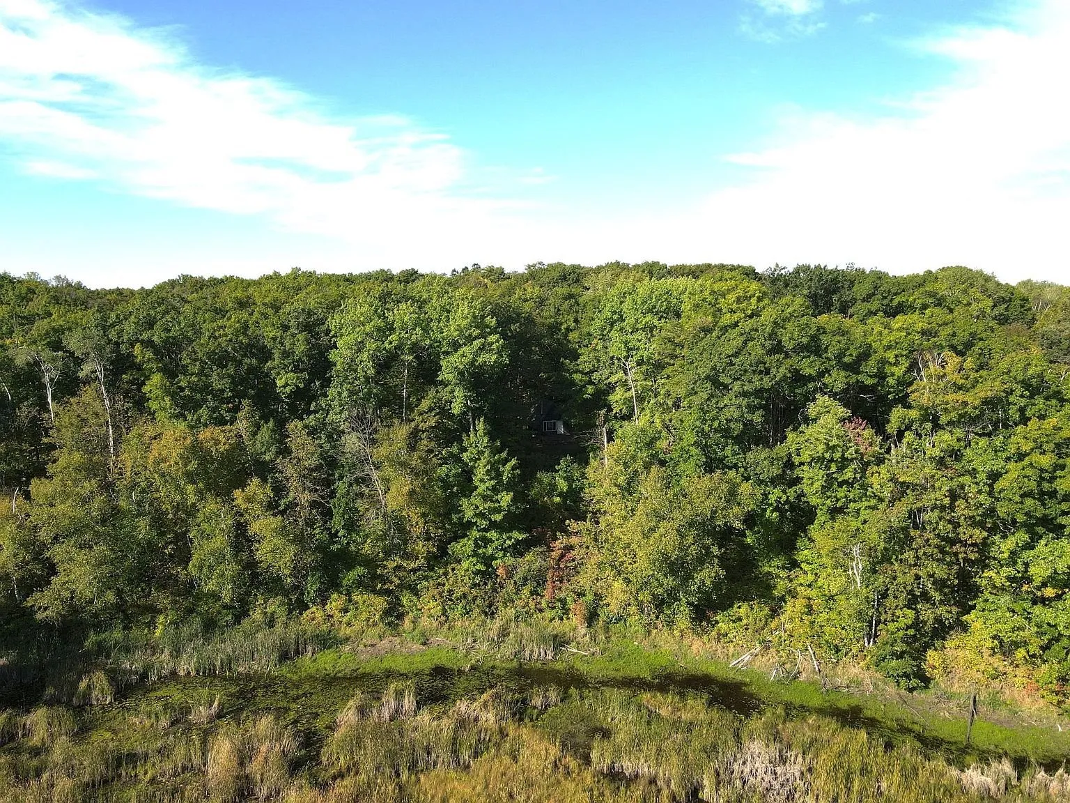 The marsh and the pond from the hill