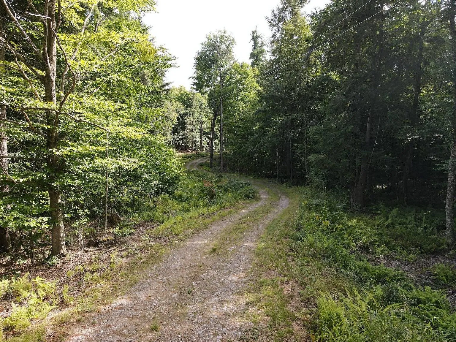 The gravel drive through the woods