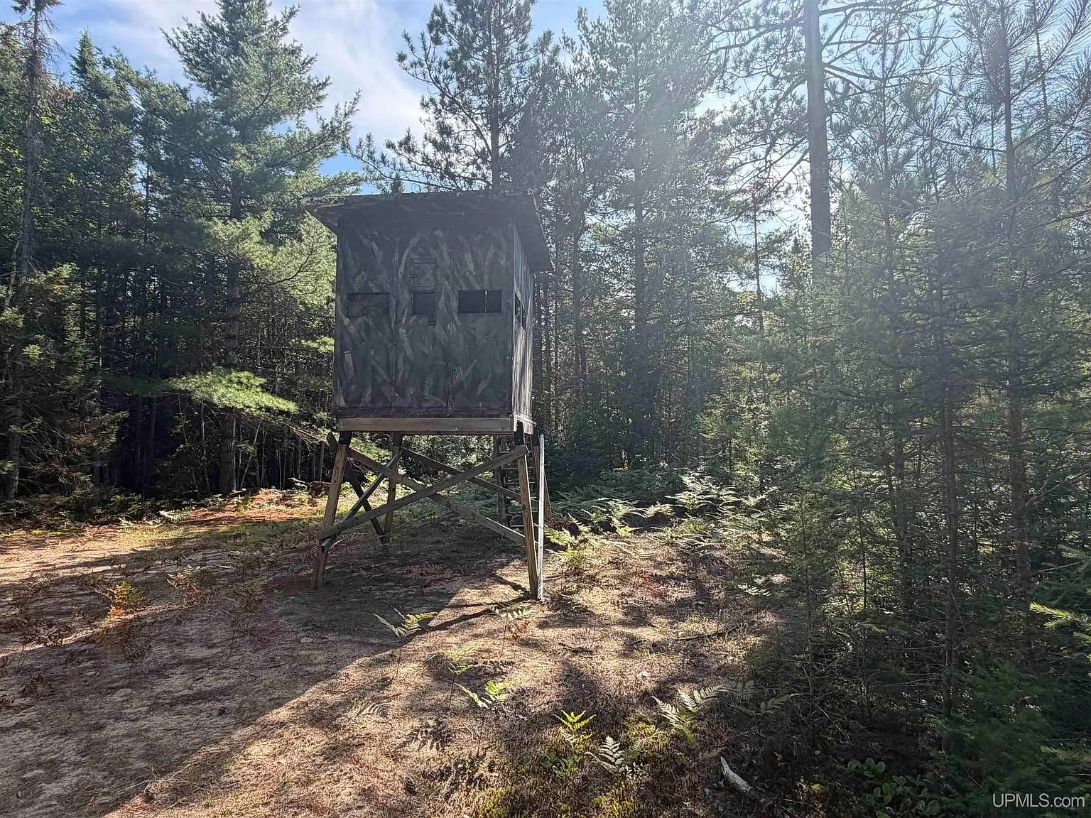 A camouflage blind on a stand among the pines