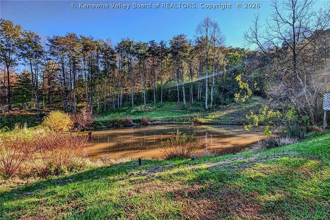 The stocked pond framed by trees along the back of the property