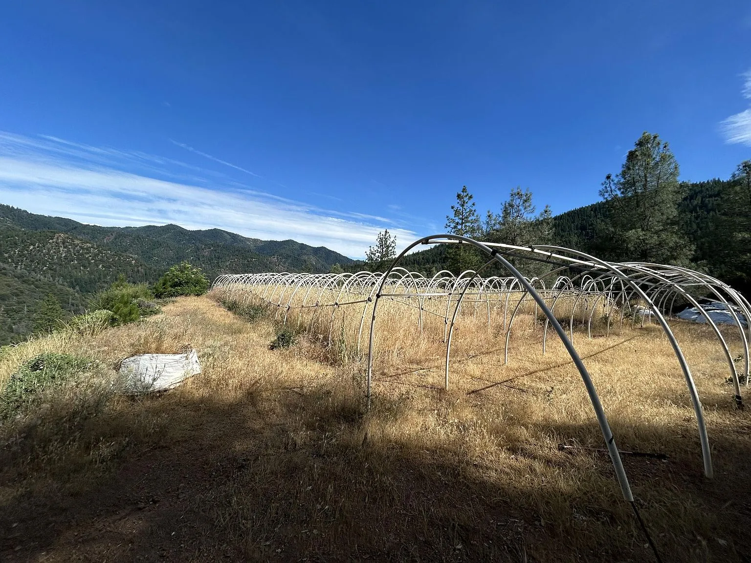 An empty hoop house frame standing in a cleared field on the property