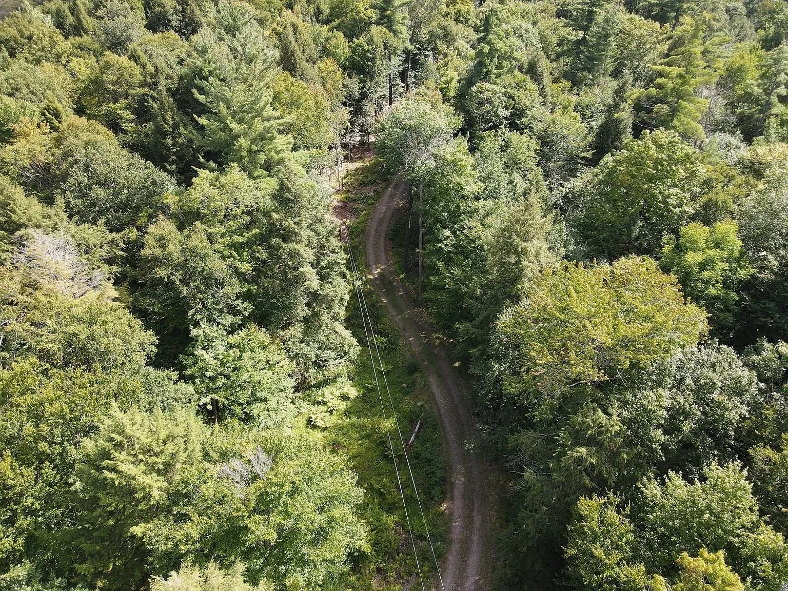 The drive through the trees from above with the power line