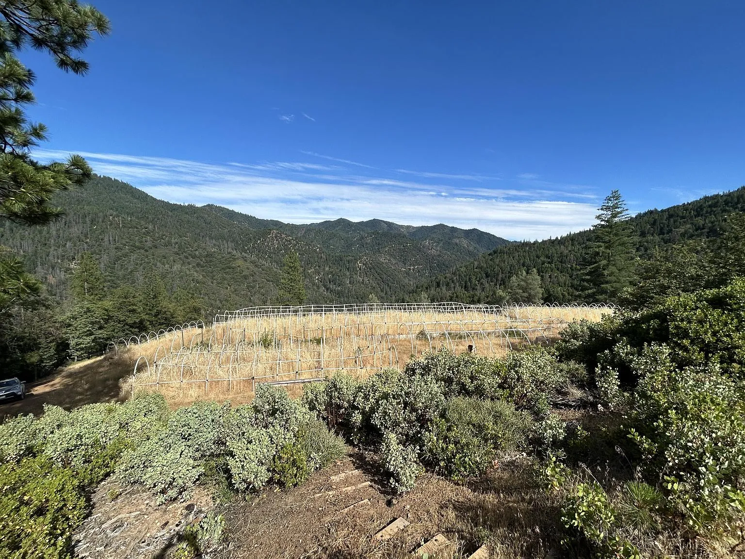 A wide view of the cleared field and surrounding mountains near the hoop house