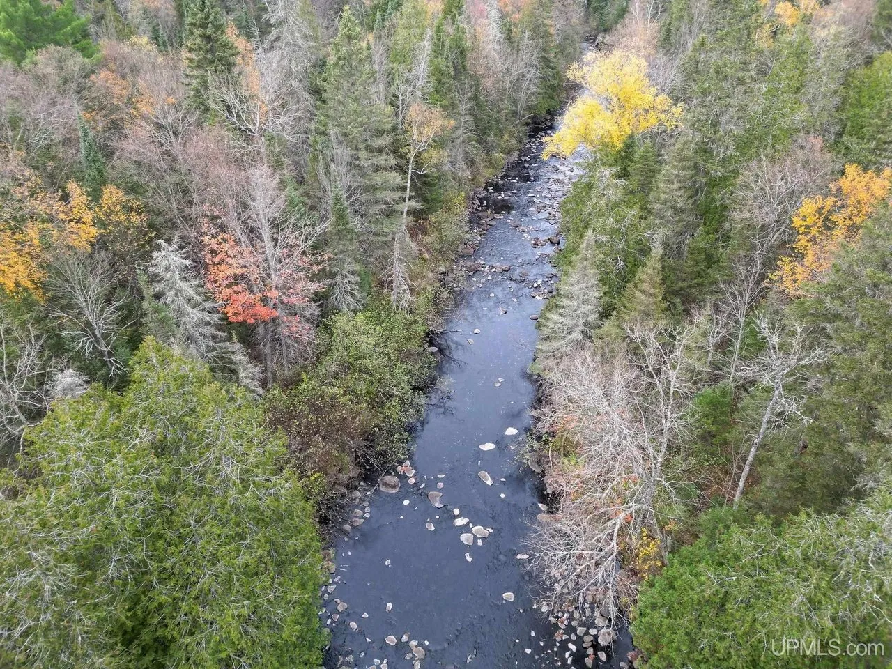 The river seen from above, dark water between rocky banks and conifers