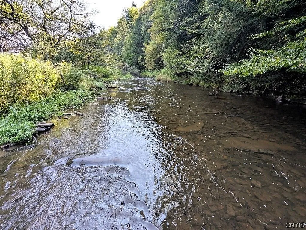 The creek running over a stony bed