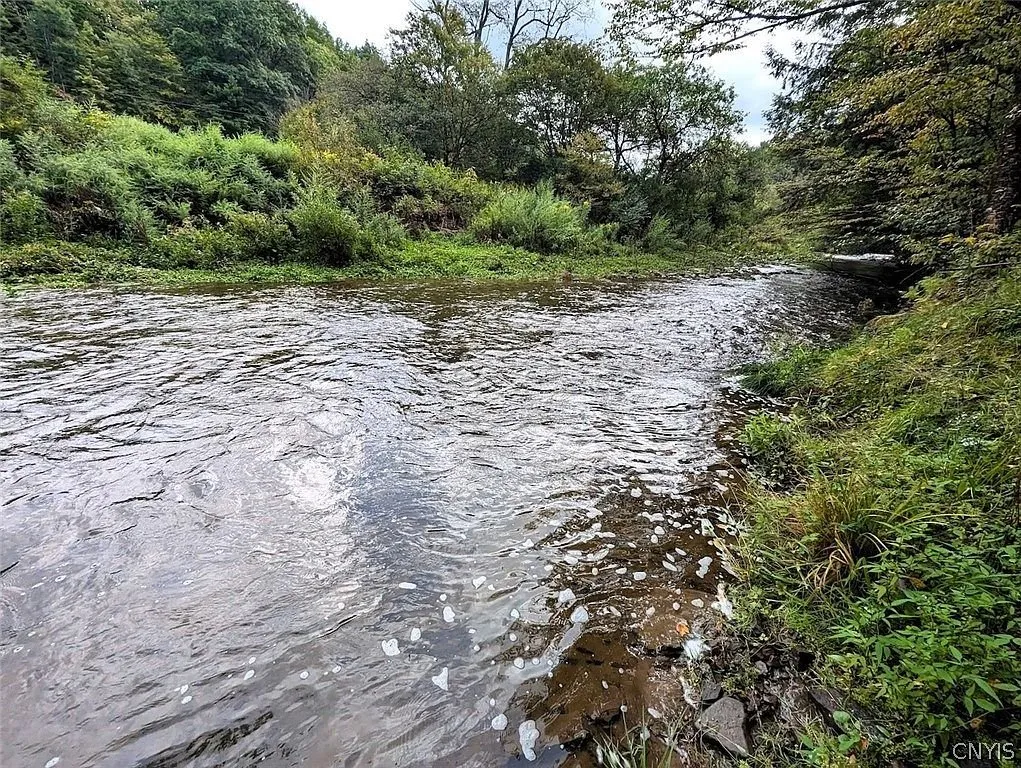 The creek from the bank with the riffle and the far trees