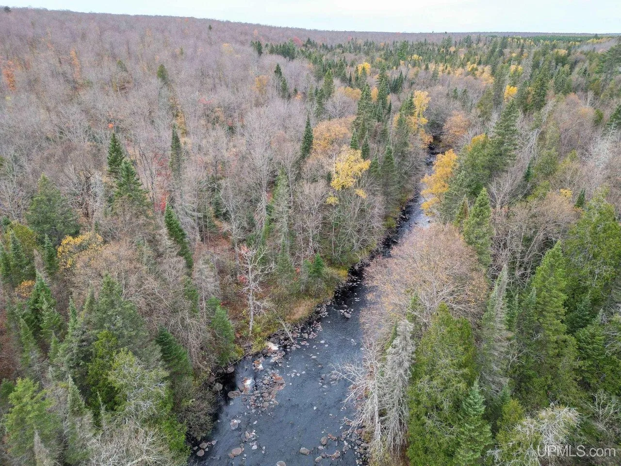 The river running between spruce and bare hardwoods
