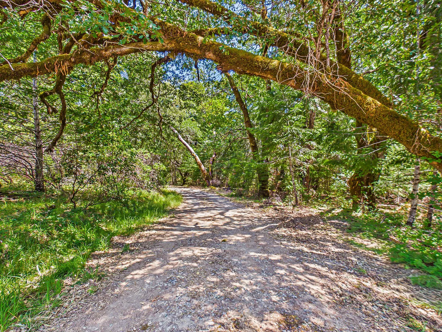 A wide aerial view of the winding access road and river valley below the property