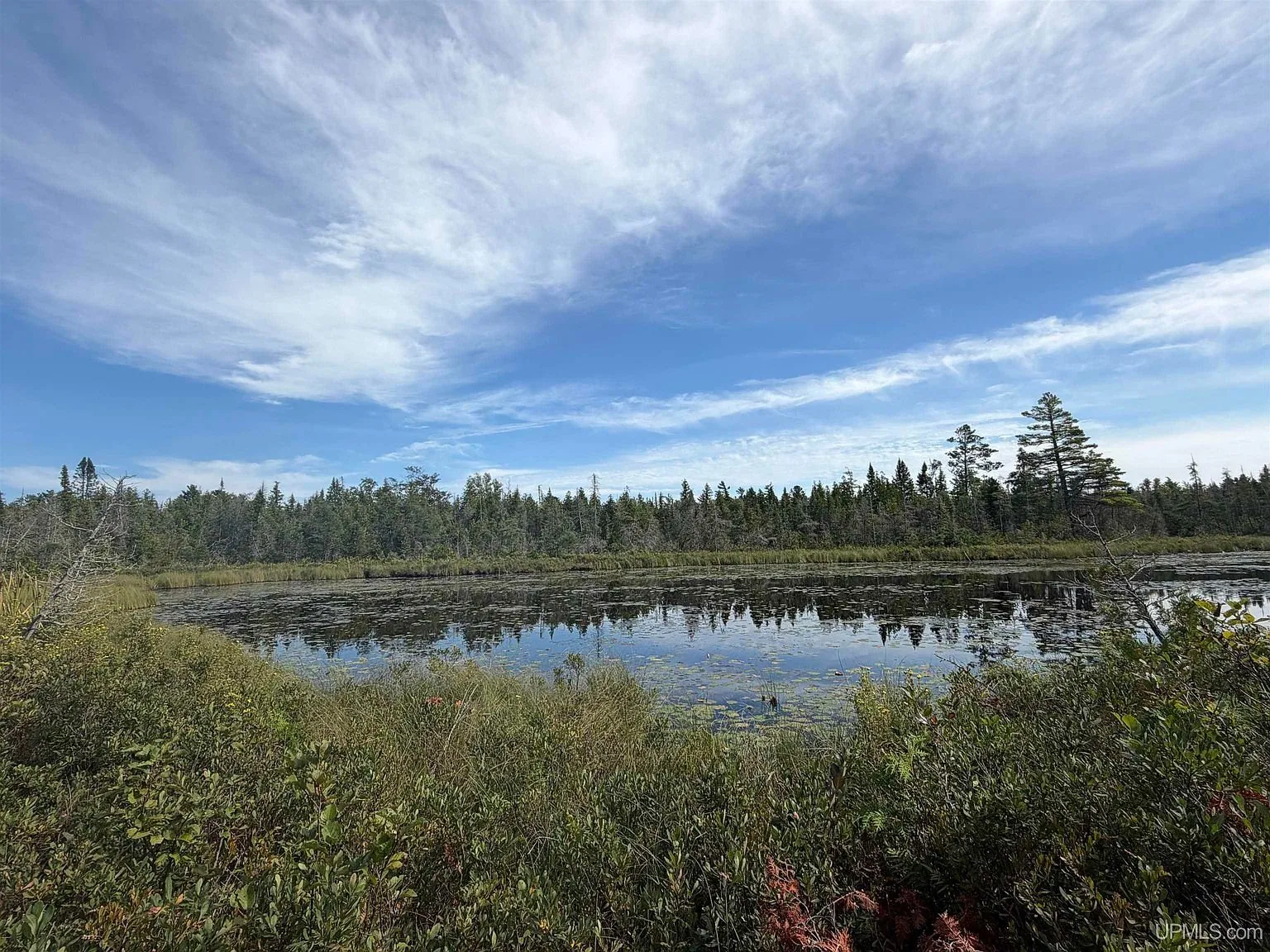 The pond under a wide sky with the marsh and the far trees