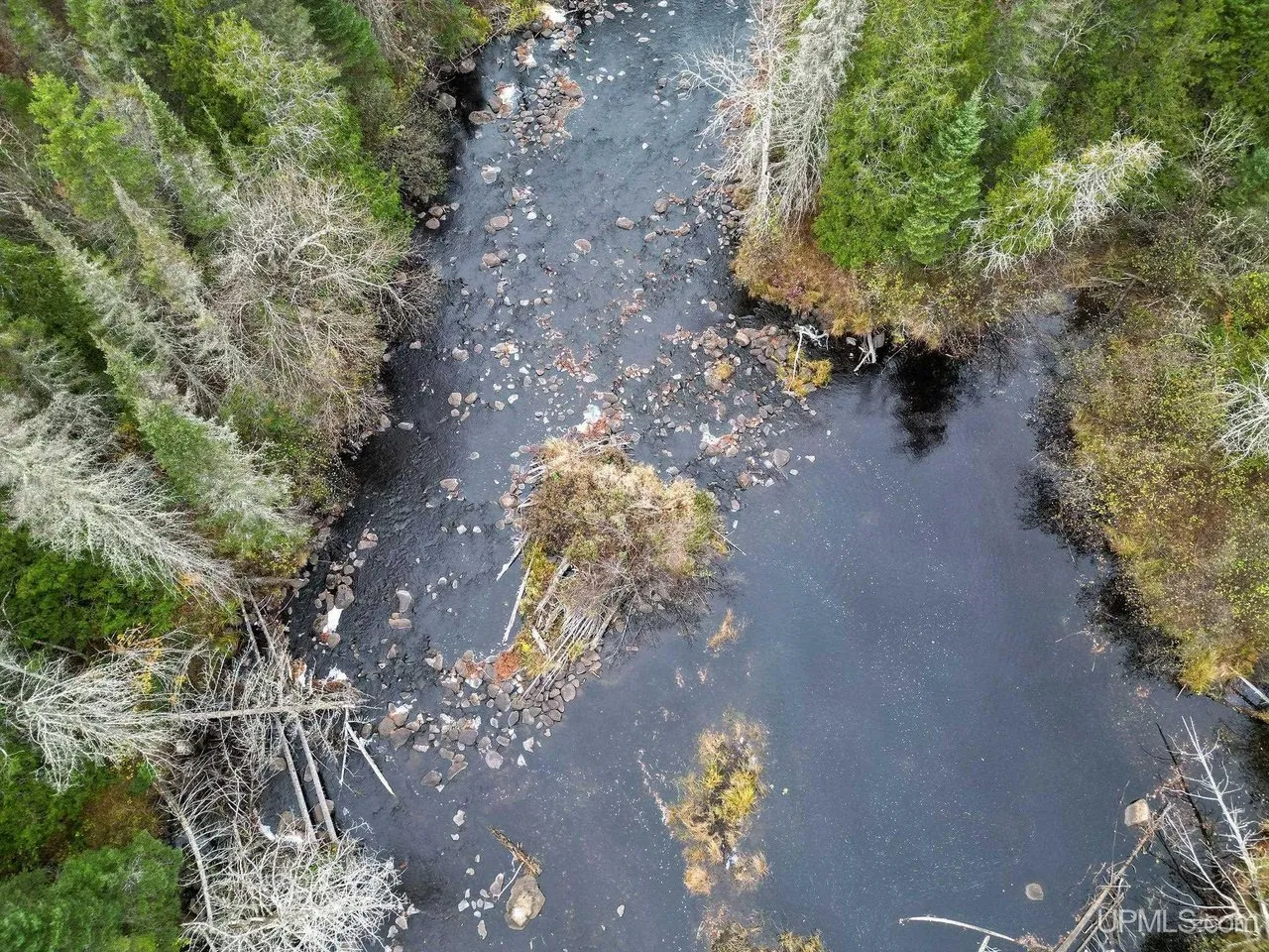 The river from directly above, rocks and deadfall in the shallows
